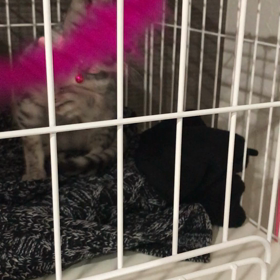 最近の麗ちゃんの画像