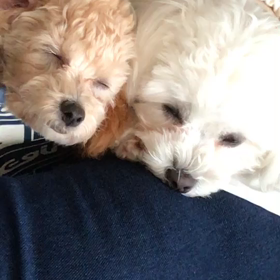 いたずら…されたの画像