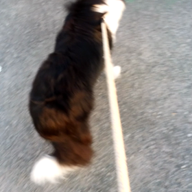 お泊まり★マリちゃんの画像