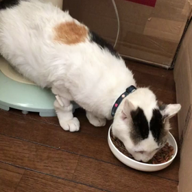 三咲さんの画像