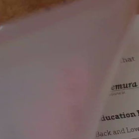 レッドコードに関する修了書が17枚の画像