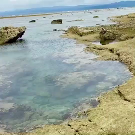 シュノーケルの時✨の画像