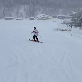 約1週間の高熱から復活しましたの画像
