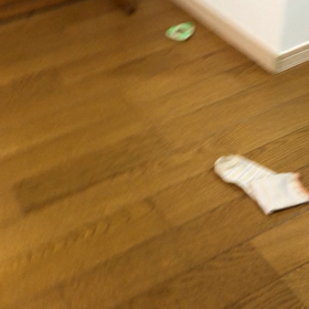 夜の大運動会の画像