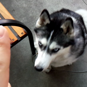 最近のも!!の画像