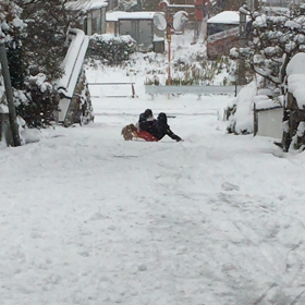 今期初！ソリ滑り〜〜の画像