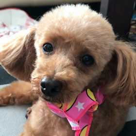 婦人科検診の画像