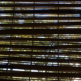 うわぁ~♪蝉が鳴いている~♪の画像