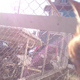 サンちゃんとの画像