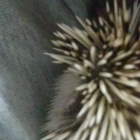 ＃これから夢の中かな？＃の画像