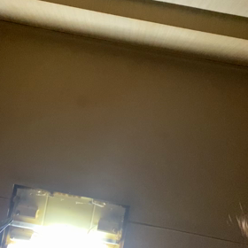 ずっといっしょにいたの画像