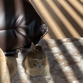 ママこそ呆けてきてるー笑の画像