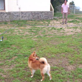 おまけ(笑)の画像