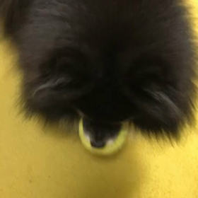 ママのインスタより先にの画像