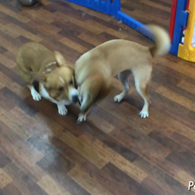 お遊び動画の画像