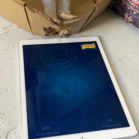 あれから2ヶ月の画像