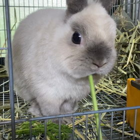 月曜日スタート！の画像