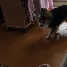 日常のひとコマの画像