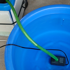 水替え中の画像