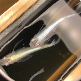 今日は動画(^^)の画像