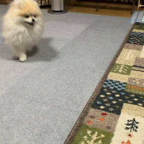 少しだけね。の画像