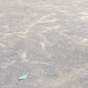 ひゃっほーい❗の画像