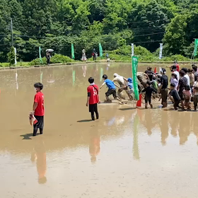 どろんこ祭りの画像