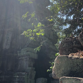 アンコール遺跡、タ・プロームの画像