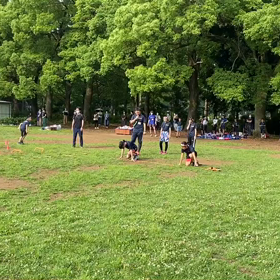 ダッシュ①の画像