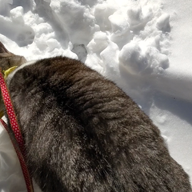 そうだった❗️の画像