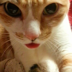 エアー飲み。の画像