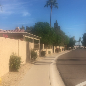 D5、テーパリングの真っ最中ですの画像