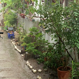 ずーっと☔️なんや〜☔️☔️☔️の画像