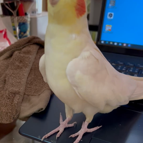 もう一曲の画像