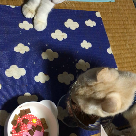 福のひとり芝居の画像