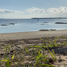 開店準備の画像
