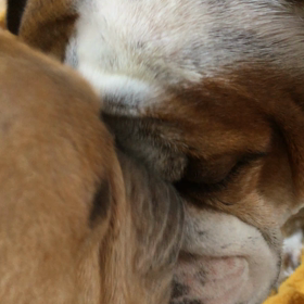 フェイシャルマッサージ(笑)の画像