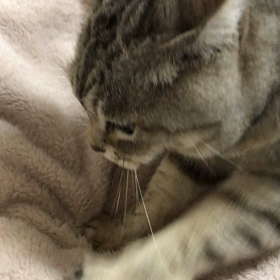 ふみふみ♪の画像