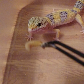 機種変をして画像がよくなったのての画像