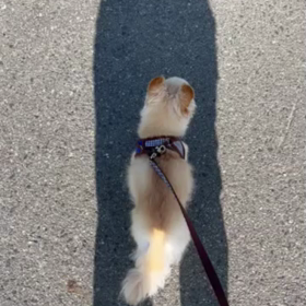 なかなか安定しないの画像