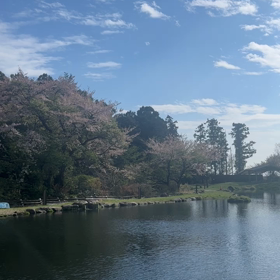4月6日(木)、今日の釣り場。明日の予定の画像