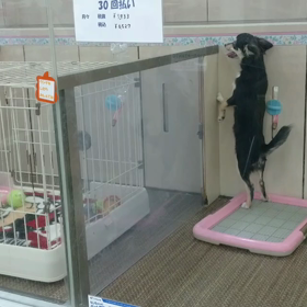 新幹線チケットの画像