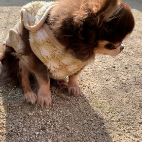 不思議な光の画像