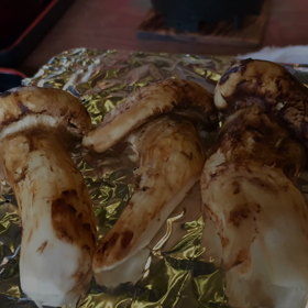 今年の松茸ツーリングの画像