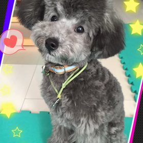 くろ君のハート頭の画像