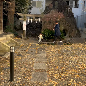 パパを避けてる。の画像