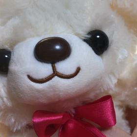 8月31日の気になる、きになるぅ〜の画像