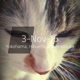 気分転換 o(^o^)oの画像