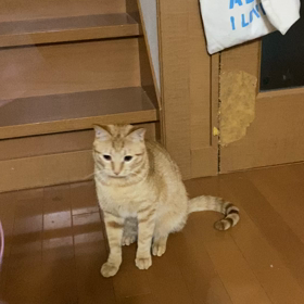 今日も遊ぶよーの画像