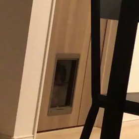 猫ドアをついにの画像